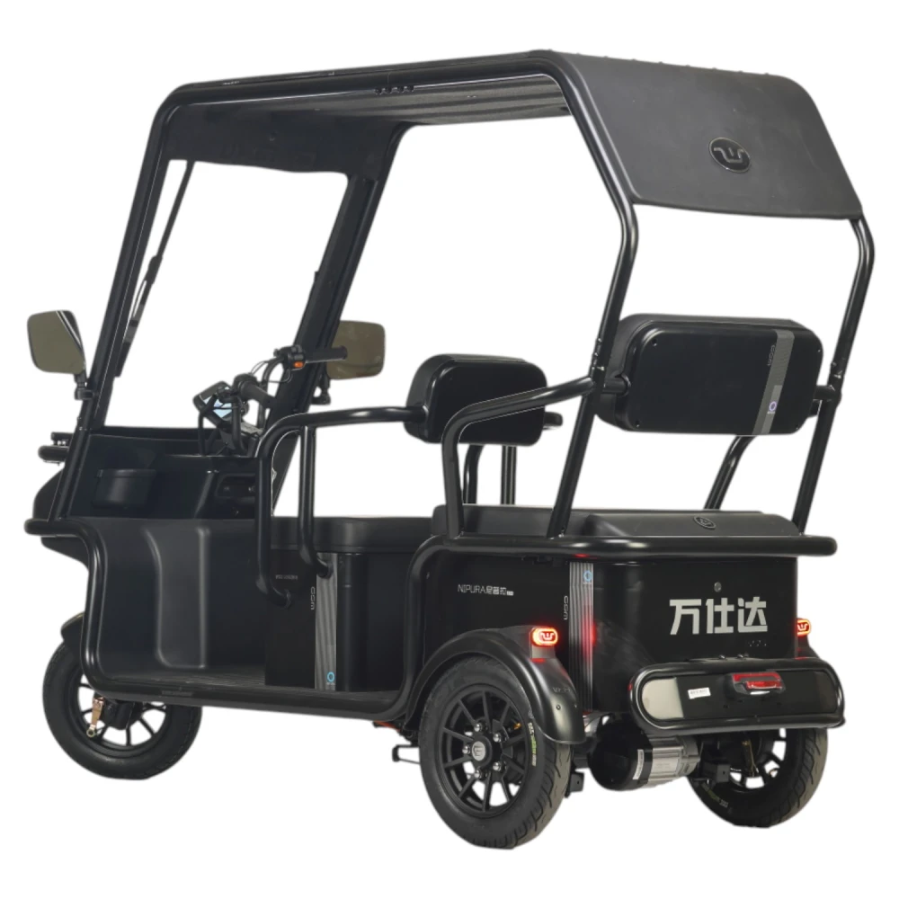 Электротрицикл Wanshida NIPLA 570 60V 1000Вт Серый 1