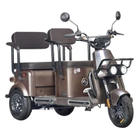 Электротрицикл Wanshida U1-X 60V 800Вт Коричневый